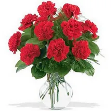 12 Red Carnations with Free Vase