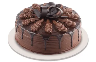 red ribbon chocolate indulgence cake in philippines