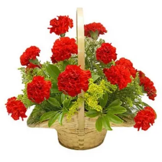 12 Red Carnations in Basket