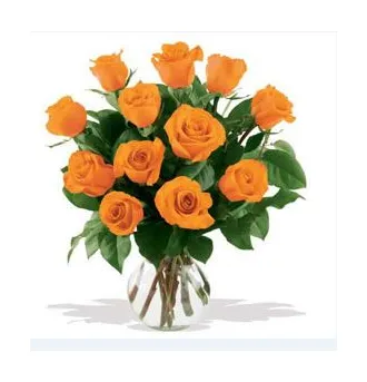 12 Orange Roses in Vase