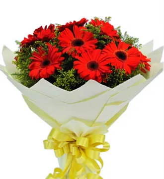 8pcs. Red Gerberas in a Bouquet