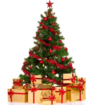 Send Christmas Mini Tree To Philippines