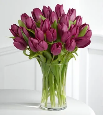 25 purple tulips Send To Philippines