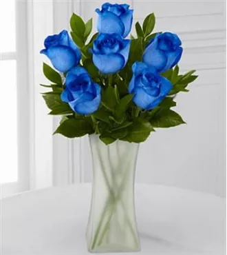 6 Blue Roses in Vase