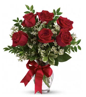 6 Red Roses in Vase