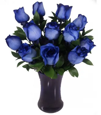 12 Blue Roses in Vase