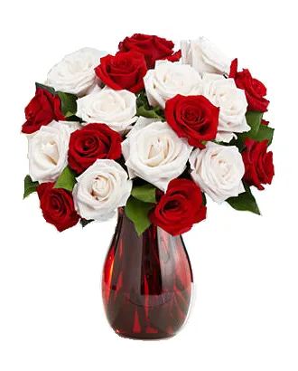 9 Red & 9 White Roses in Vase